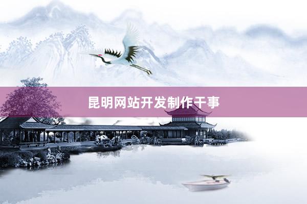 昆明网站开发制作干事