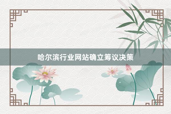 哈尔滨行业网站确立筹议决策