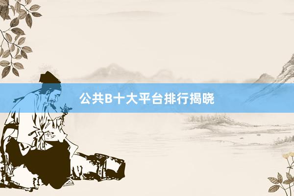 公共B十大平台排行揭晓