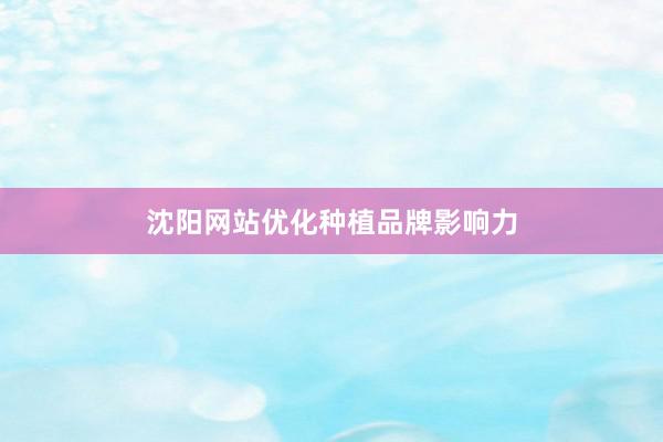 沈阳网站优化种植品牌影响力