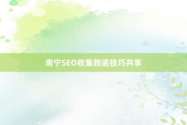 南宁SEO收集践诺技巧共享