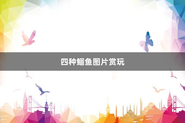 四种鲴鱼图片赏玩