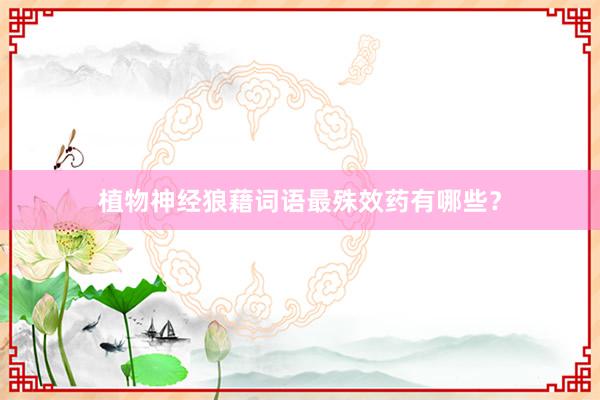 植物神经狼藉词语最殊效药有哪些？