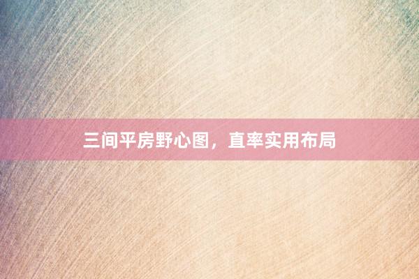 三间平房野心图，直率实用布局